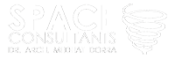 Space Consualt